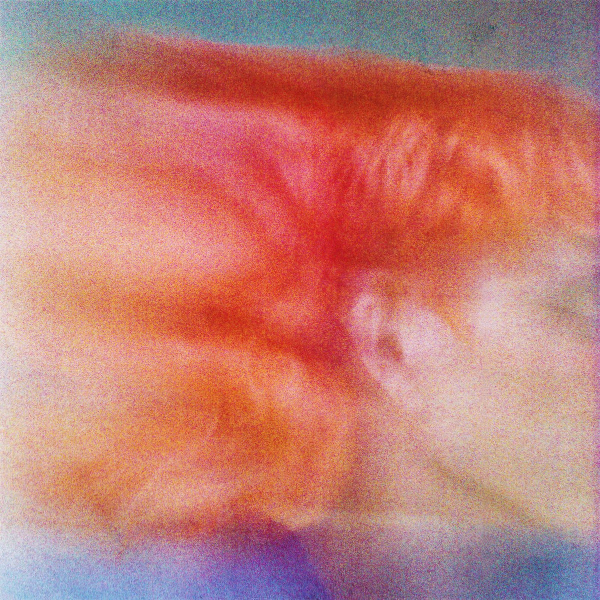 Album cover of Joy
