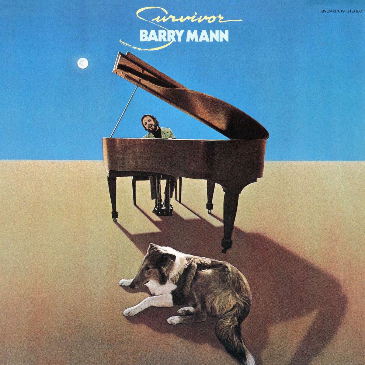 Album cover of Survivor