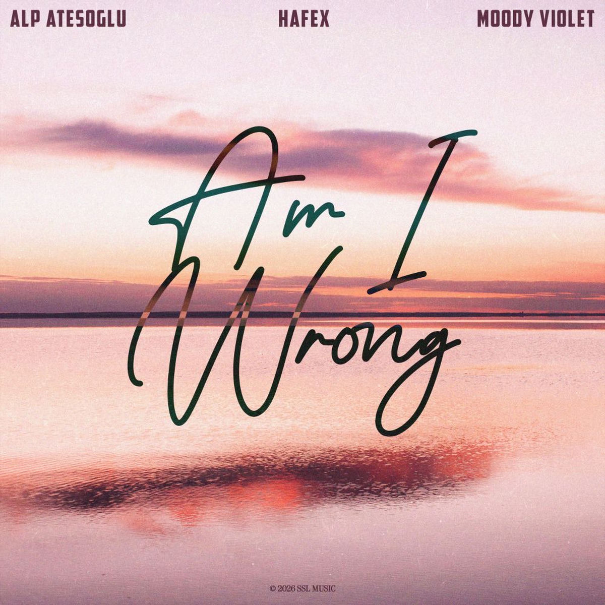 Album cover of Am I Wrong
