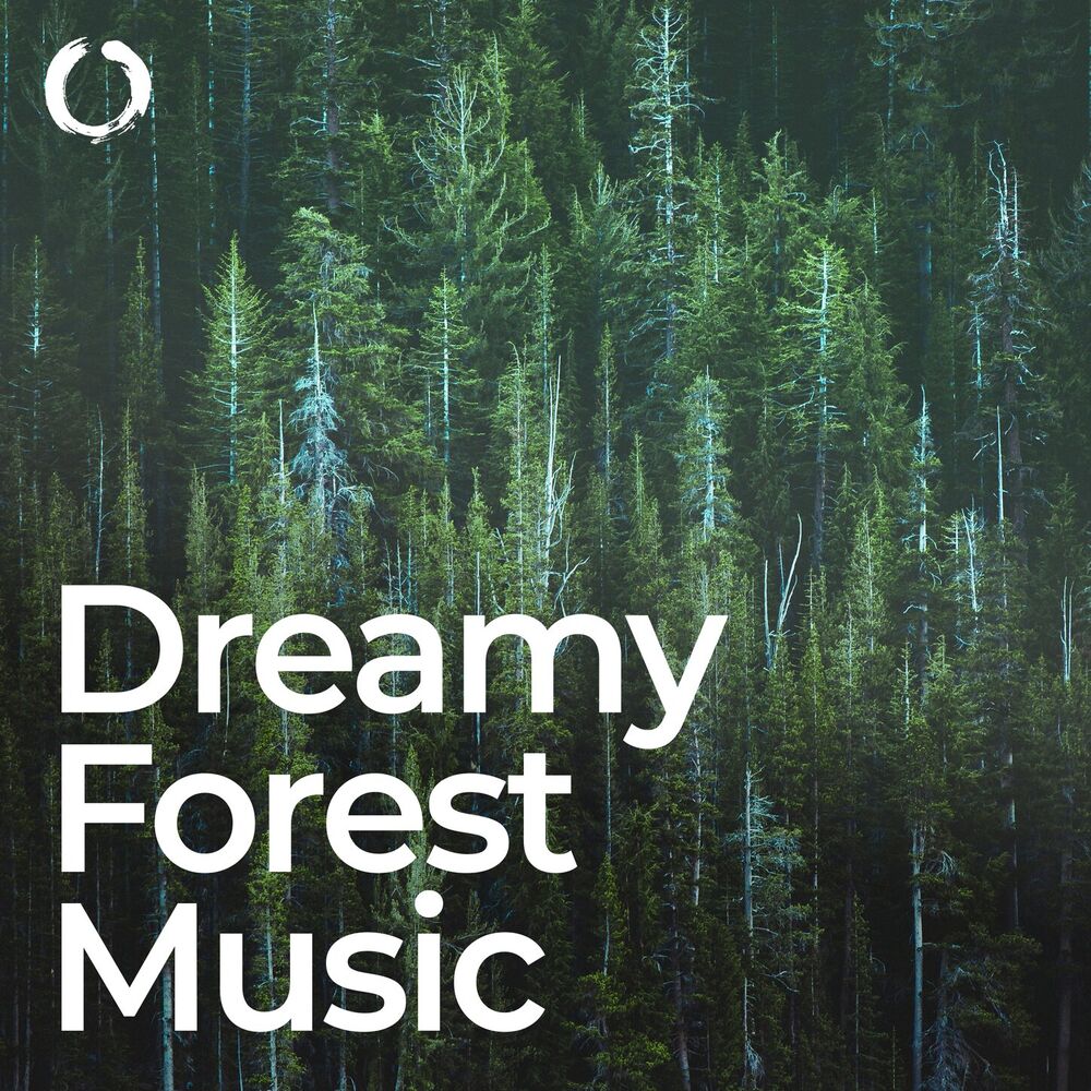 Picture of Dreamy Forest Music