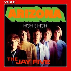 Cover of Arizona