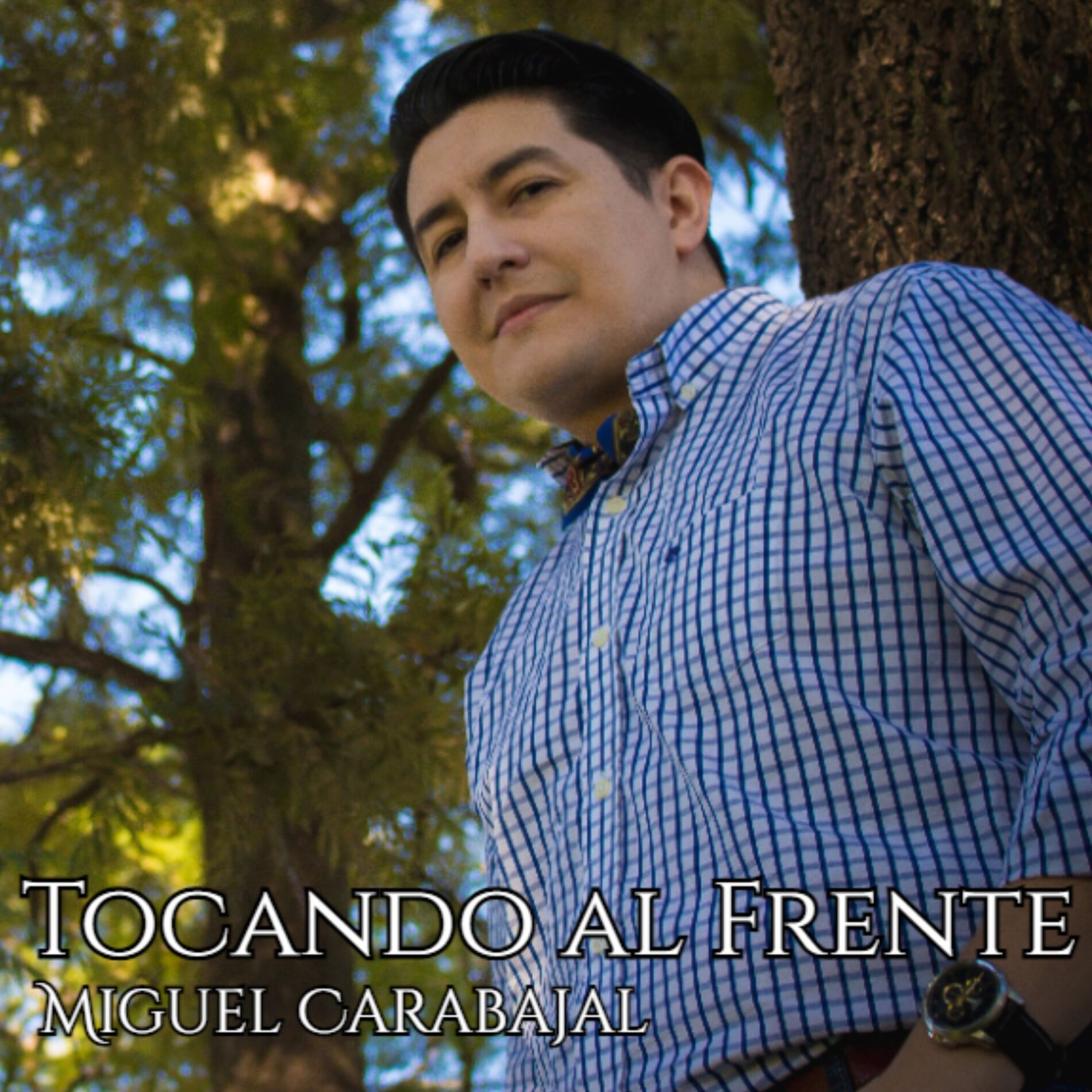 Album cover of Tocando Al Frente