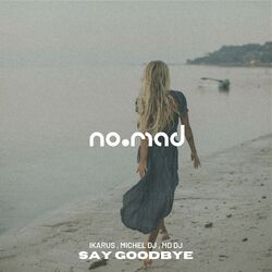 Cover of Say Goodbye