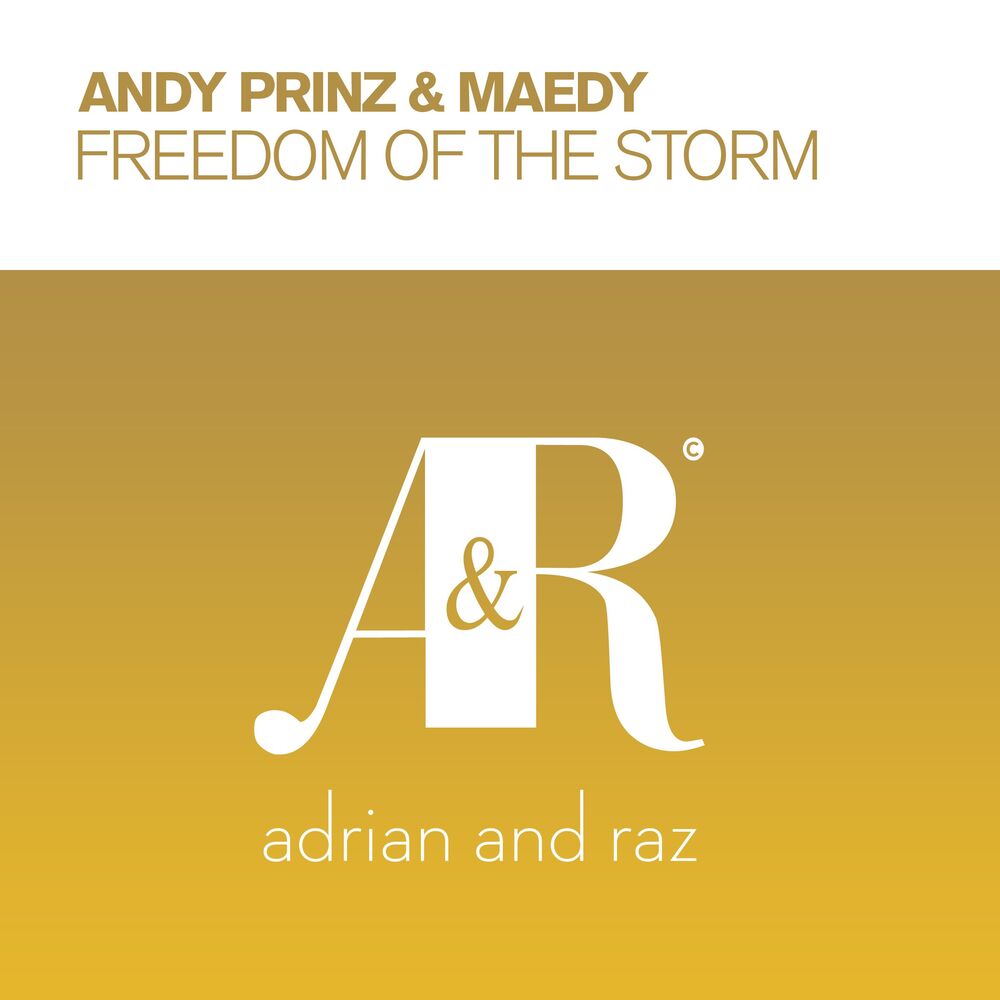 Picture of Freedom of The Storm
