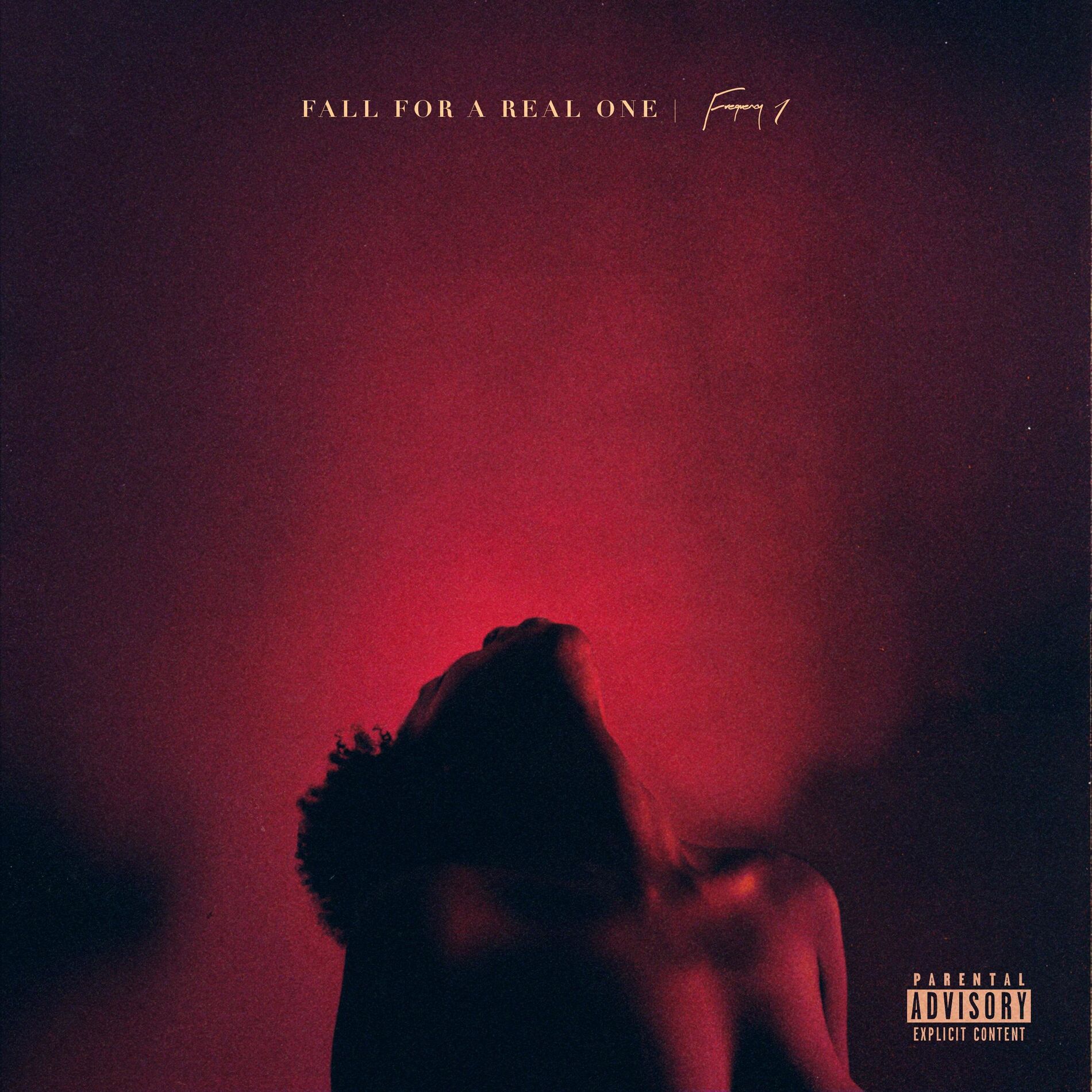 Album cover of Fall for a Real One (Frequency 1)