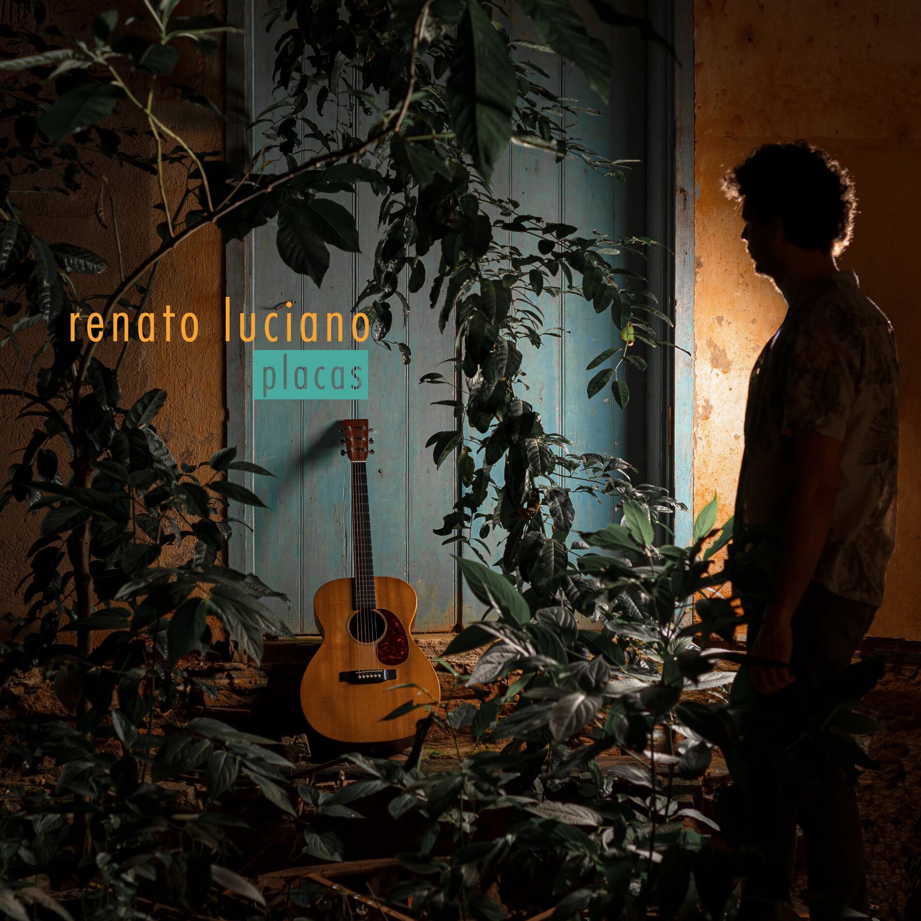 Album cover of Placas