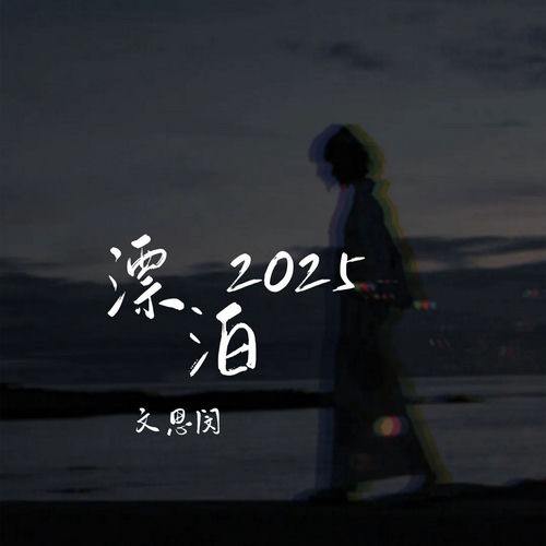 漂泊2025