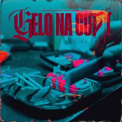Cover of Gelo na Cuia