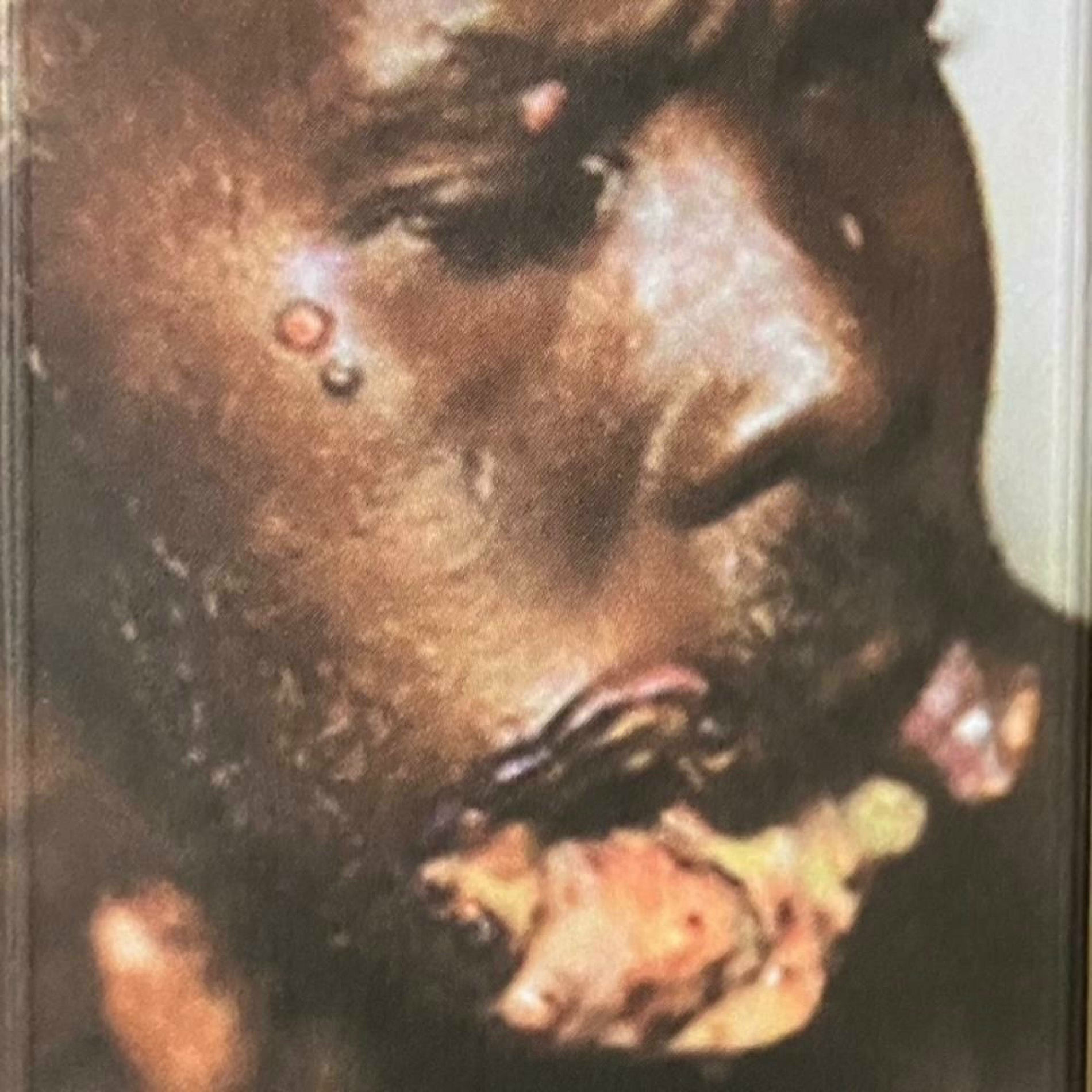 Album cover of CASSER LE DOS