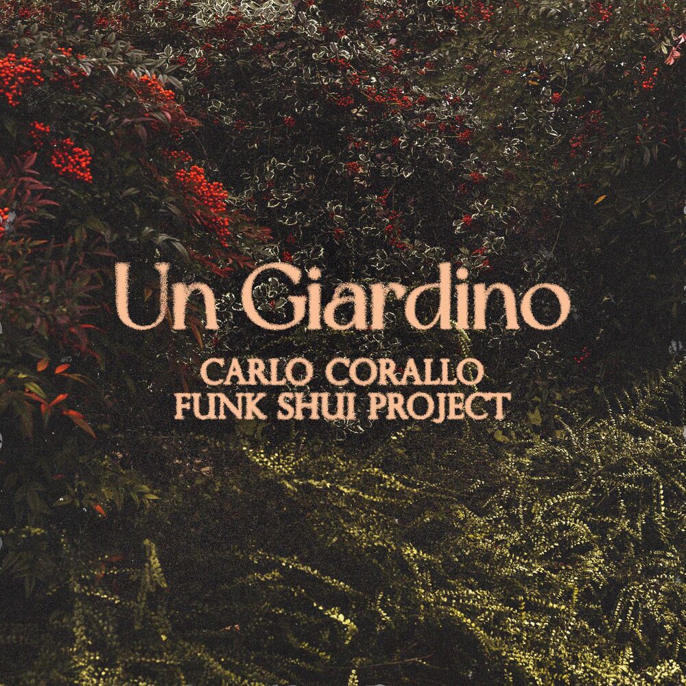 Picture of Un giardino