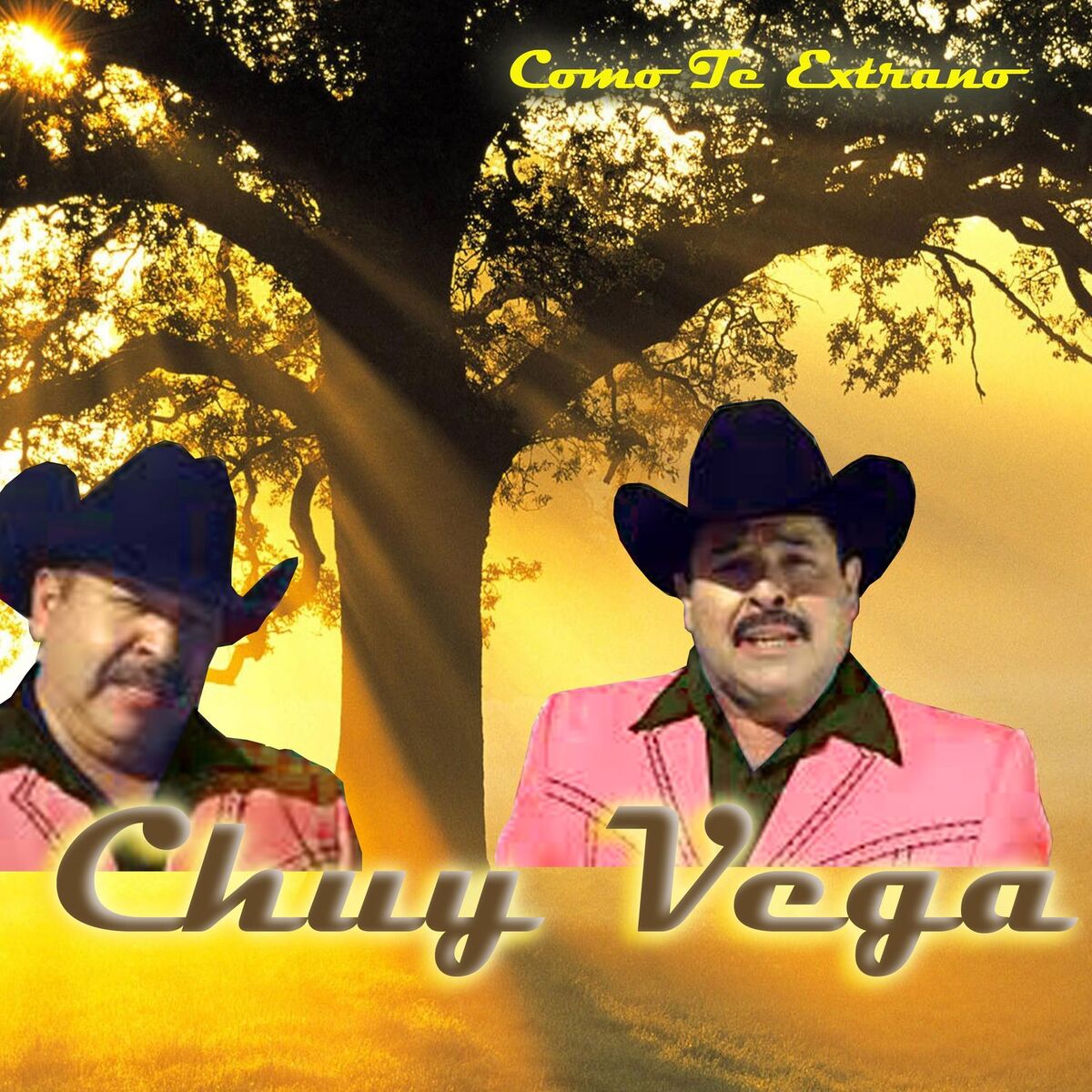 Album cover of Como Te Extrano