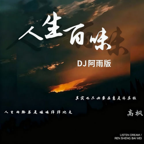 人生百味 (Dj阿雨版)