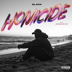 Cover of Homicide