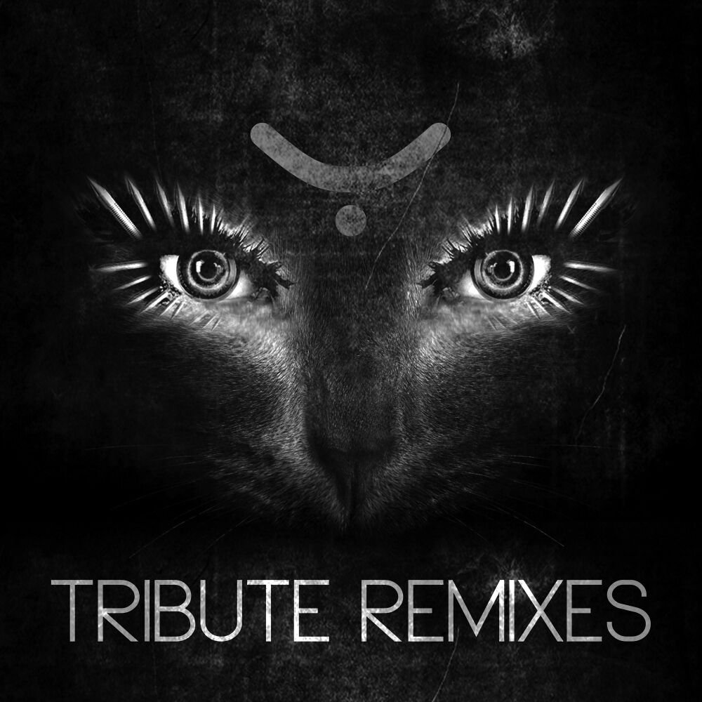 Picture of Tribute Remixes