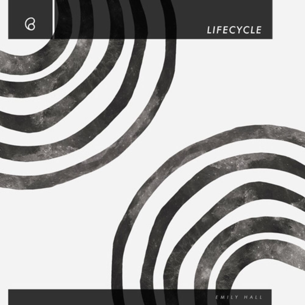 Picture of Life Cycle