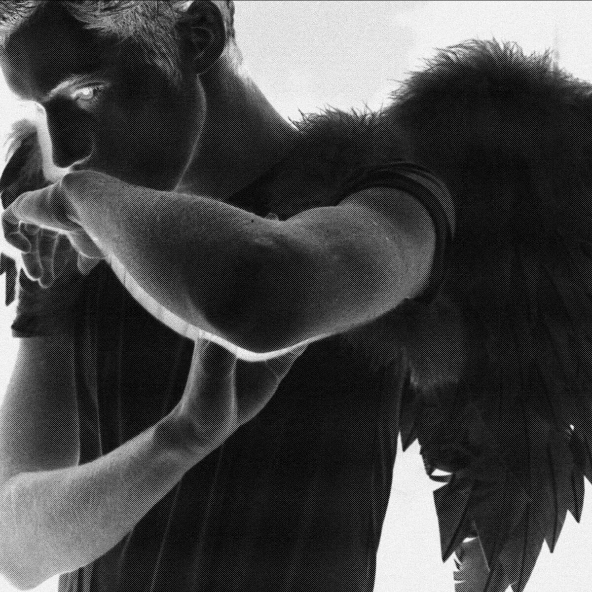 Album cover of Angel Baby