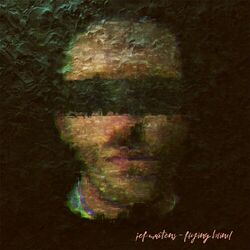 Cover of Flying Blind