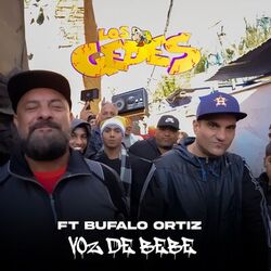 Cover of Voz de bebé