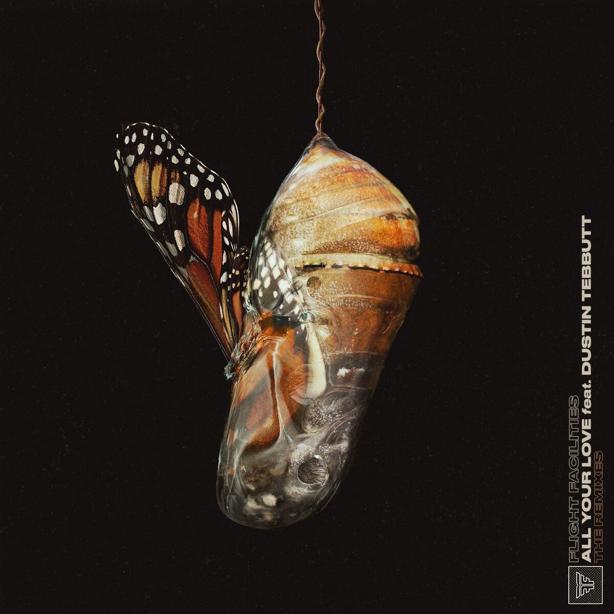 Album cover of All Your Love