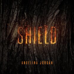 Cover of Shield