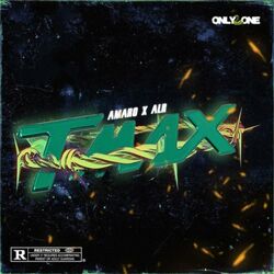 Cover of TMAX