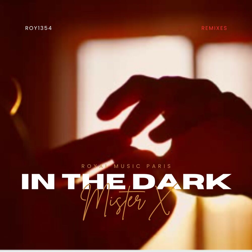 Picture of In The Dark
