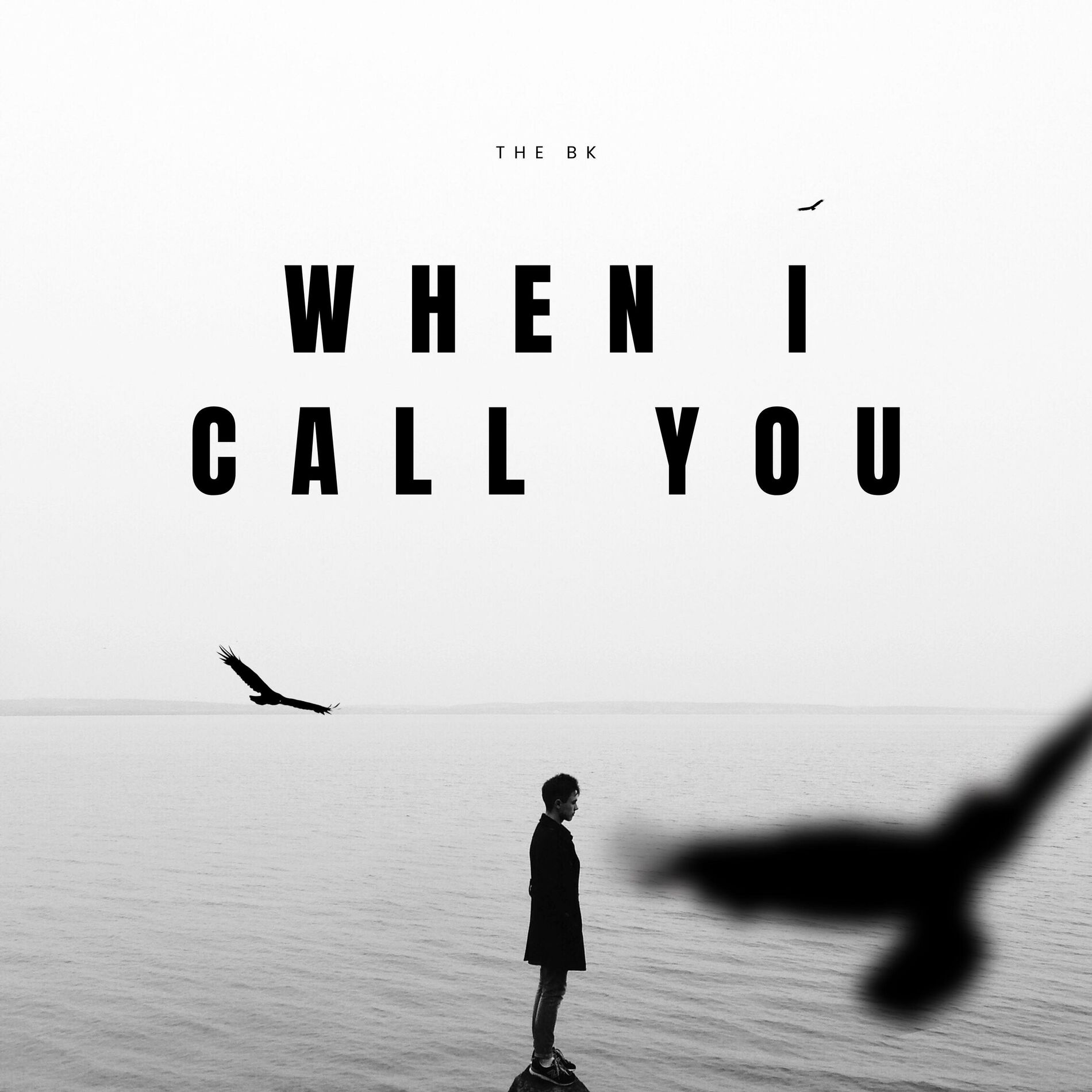 Album cover of When I Call You