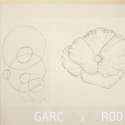 Cover of Misil