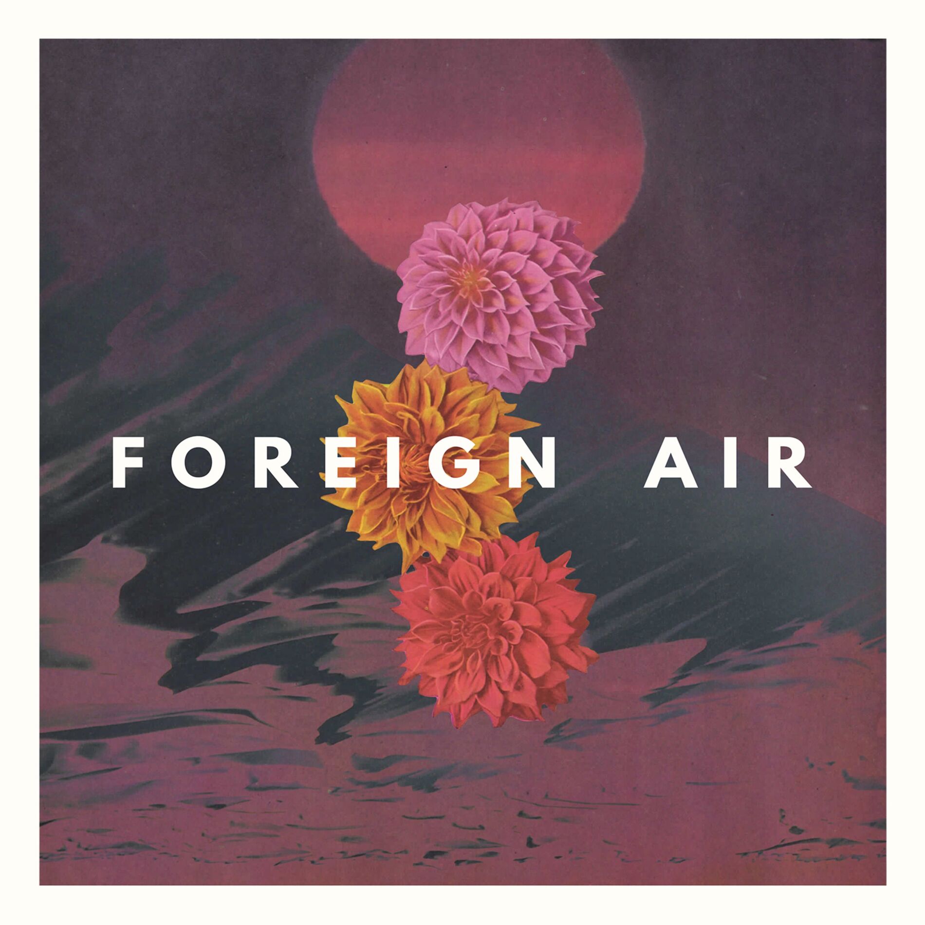 Album cover of Free Animal