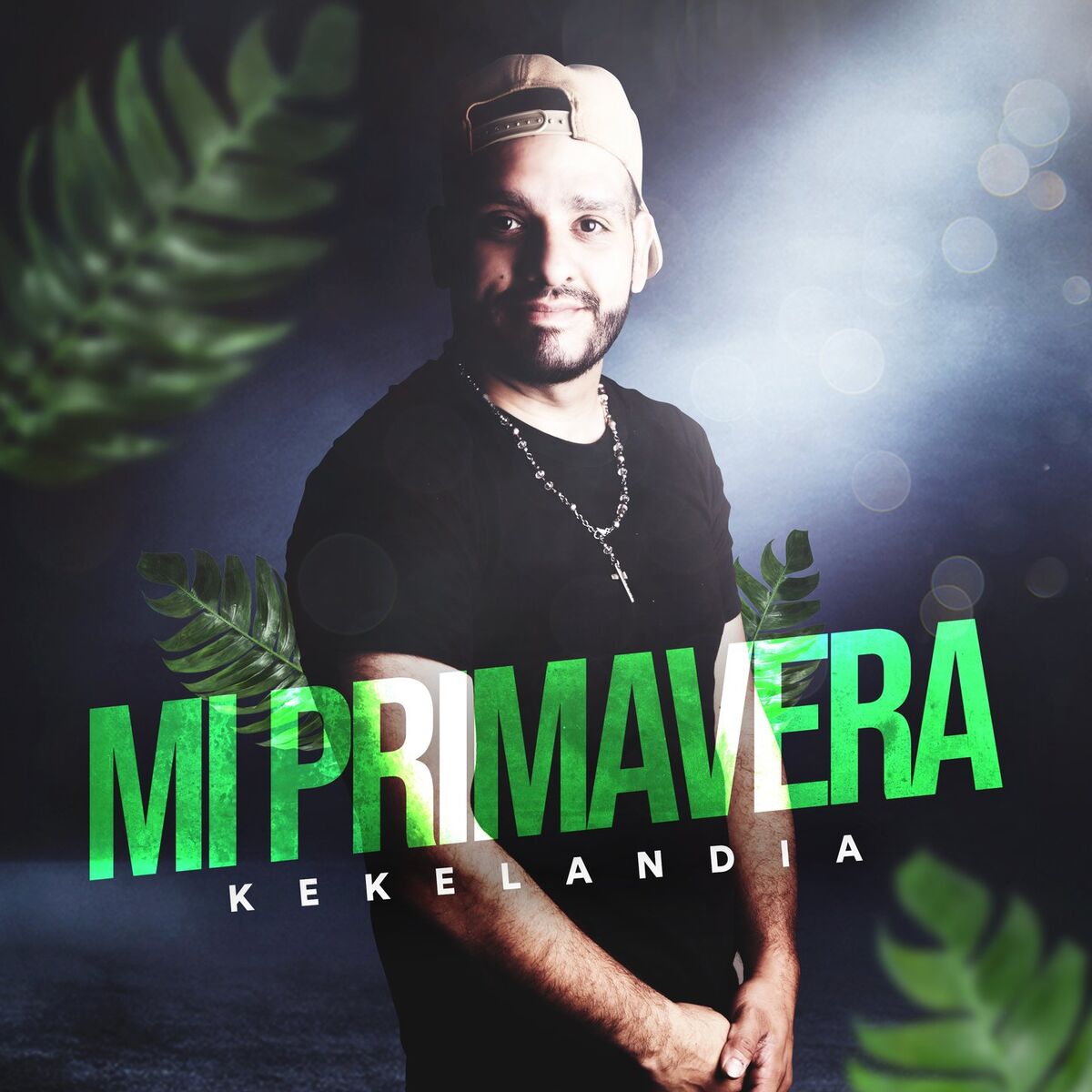 Album cover of Mi Primavera