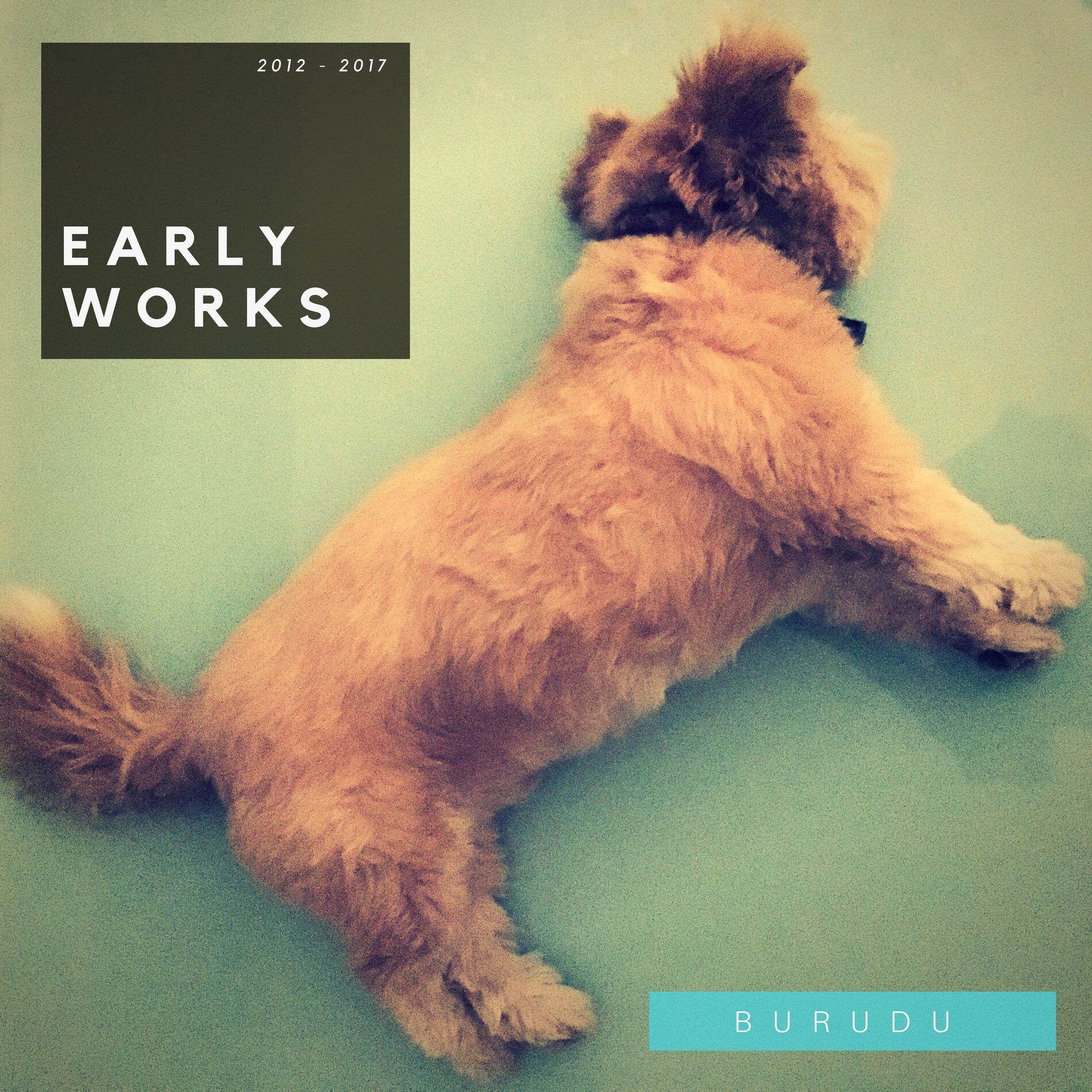 Album cover of Early Works