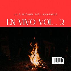 Cover of En Vivo Vol. 2