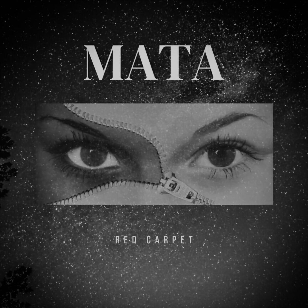 Album cover of Mata