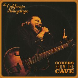 Cover of Covers from the Cave