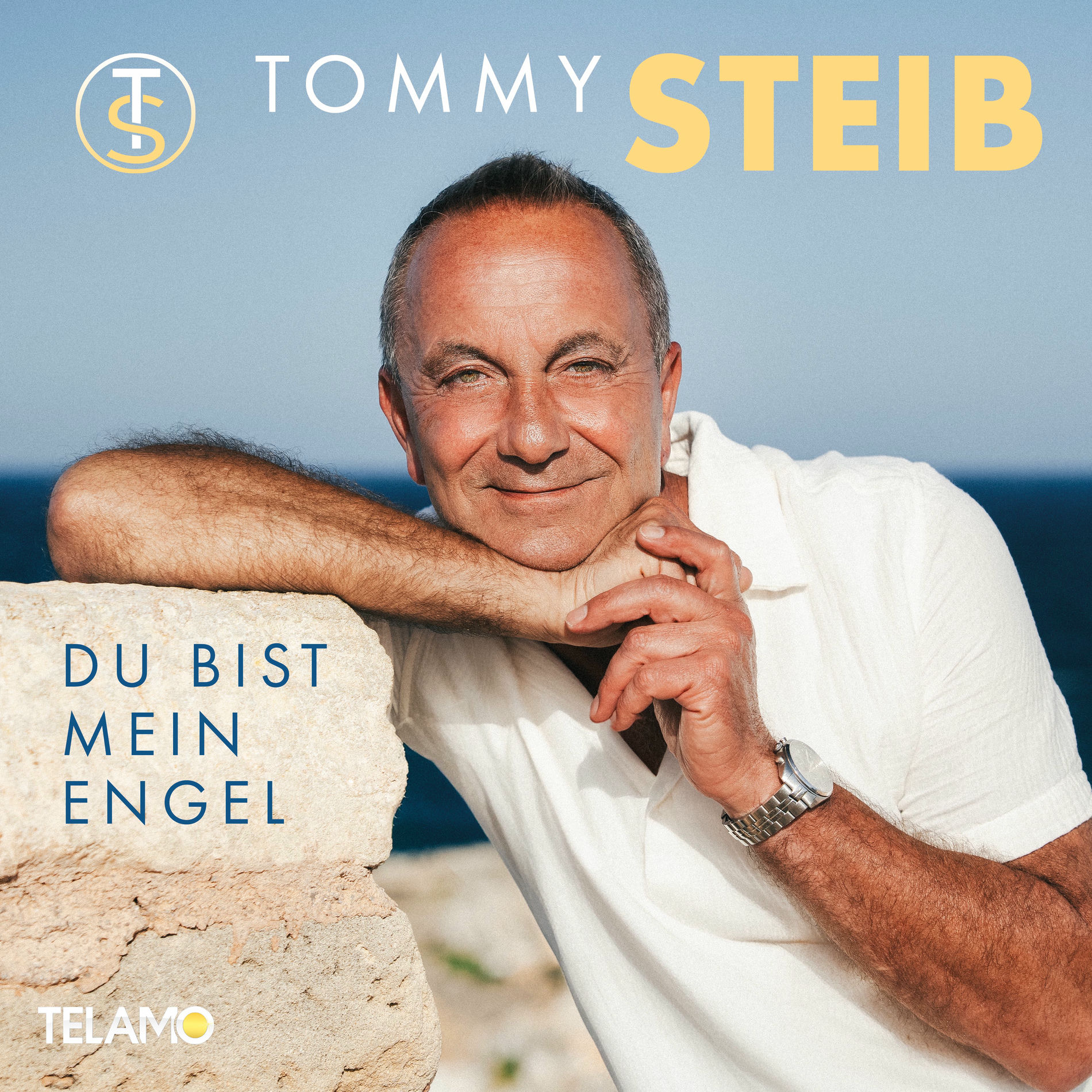 Album cover of Du bist mein Engel