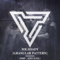 Cover of Granular Pattern