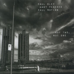 Cover of Not Two, Not One