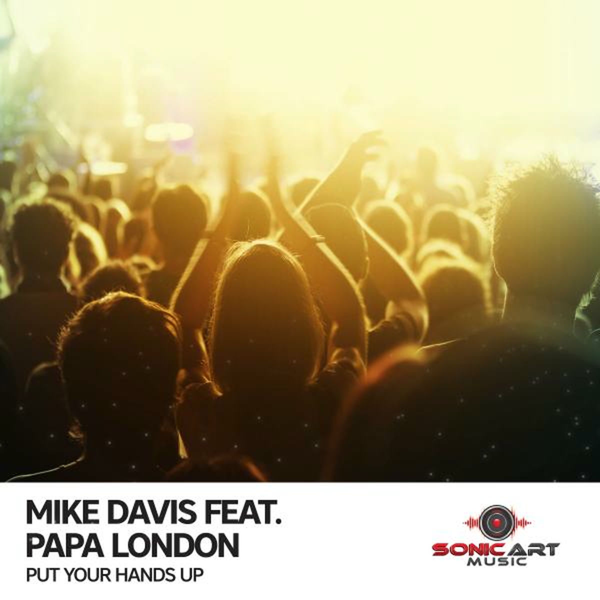 Album cover of Put Your Hands Up