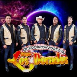 Cover of A puro dolor