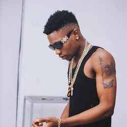 Cover of Bag and bag (Freestyle)