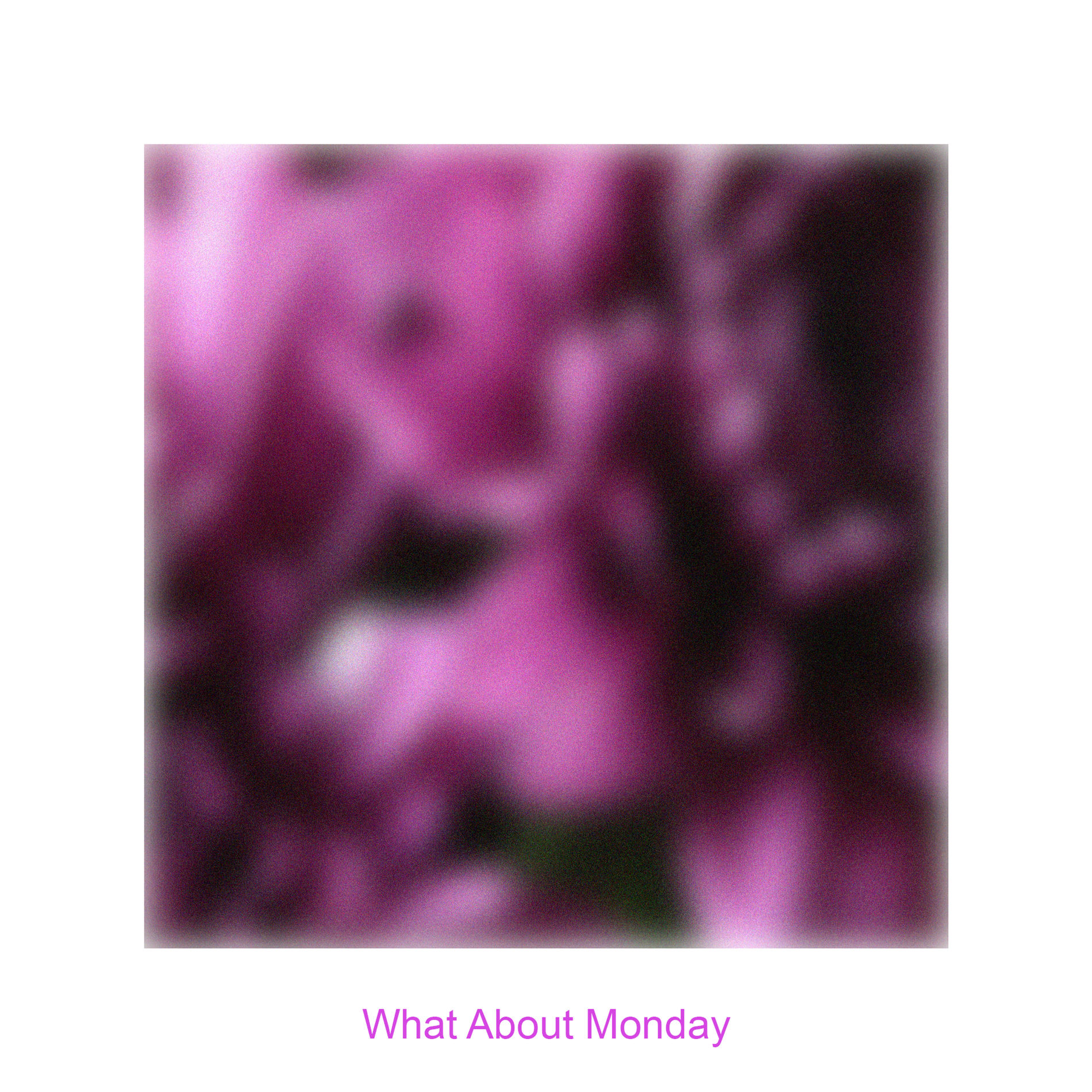 Album cover of What About Monday?