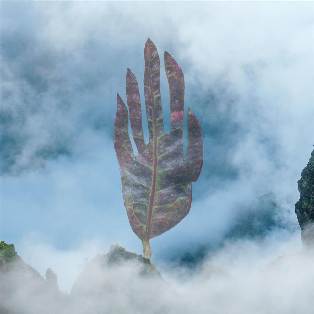 Picture of Misty Mountains Cold