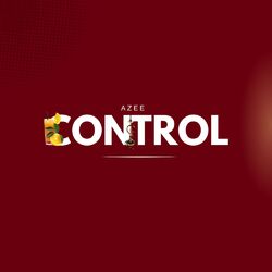 Cover of Control