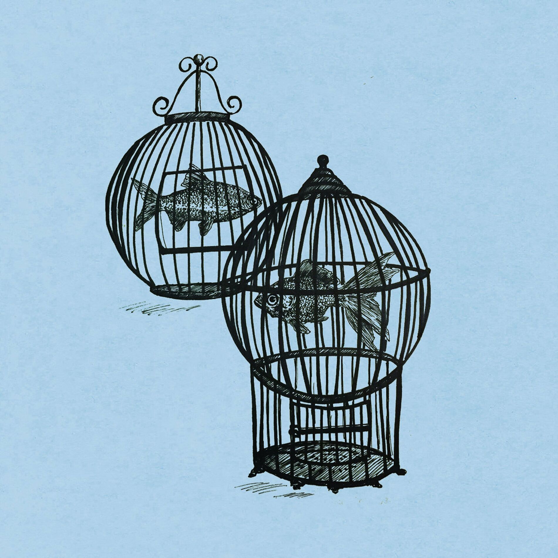 Album cover of Rule #11 - My Dream, My Addiction