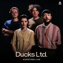 Cover of Ducks Ltd. on Audiotree Live