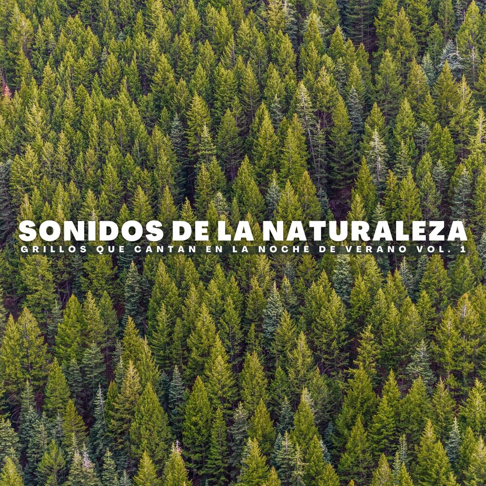 Picture of Sonidos De La Naturaleza: Grillos Que Cantan En La Noche De Verano Vol. 1