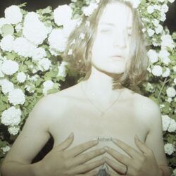 Cover of Berliner Techno