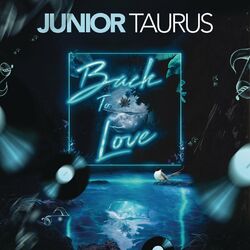 Cover of Back to Love