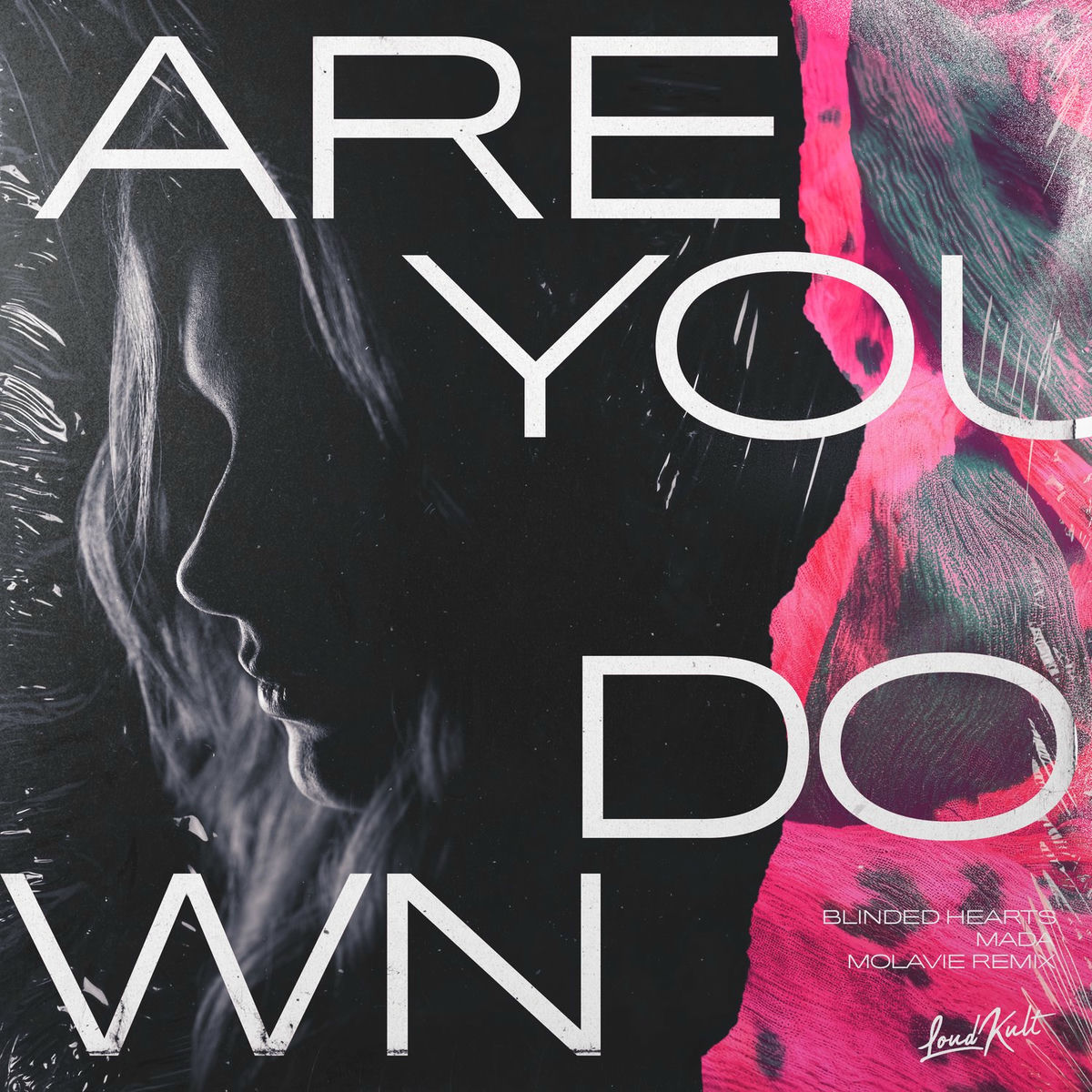 Album cover of Are You Down