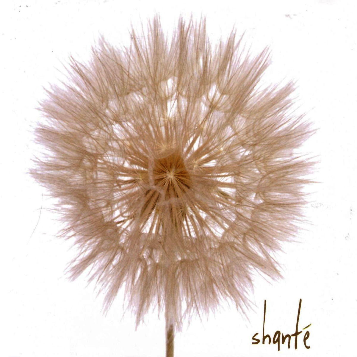 Album cover of Miracle